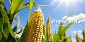 ?~滴zif1|惁麁n尯??&amp;?橺gy(は和が一起使用)-爱游戏APP